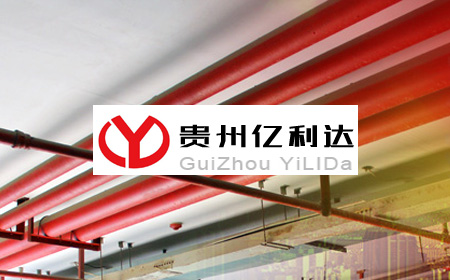 �F�݃|���_(d��)�����������޹�˾